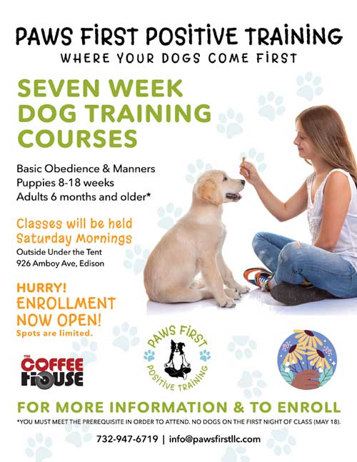 Edison NJ dog training class